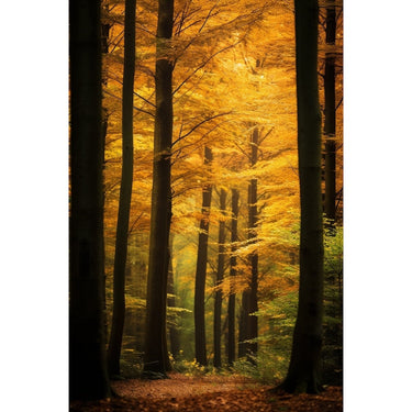 Tableau En Automne Forêt